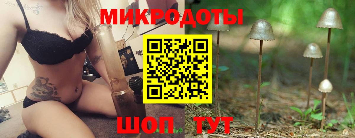 Галлюциногенные грибы Magic Shrooms Вологда